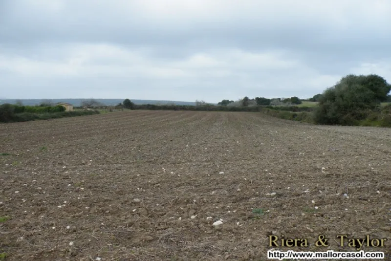 Se vende finca en Manacor