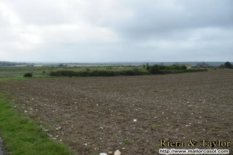 Se vende finca en Manacor