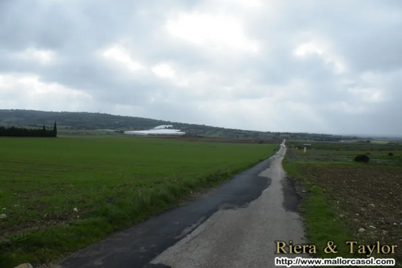 Se vende finca en Manacor