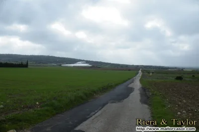 Venta Terrenos Manacor