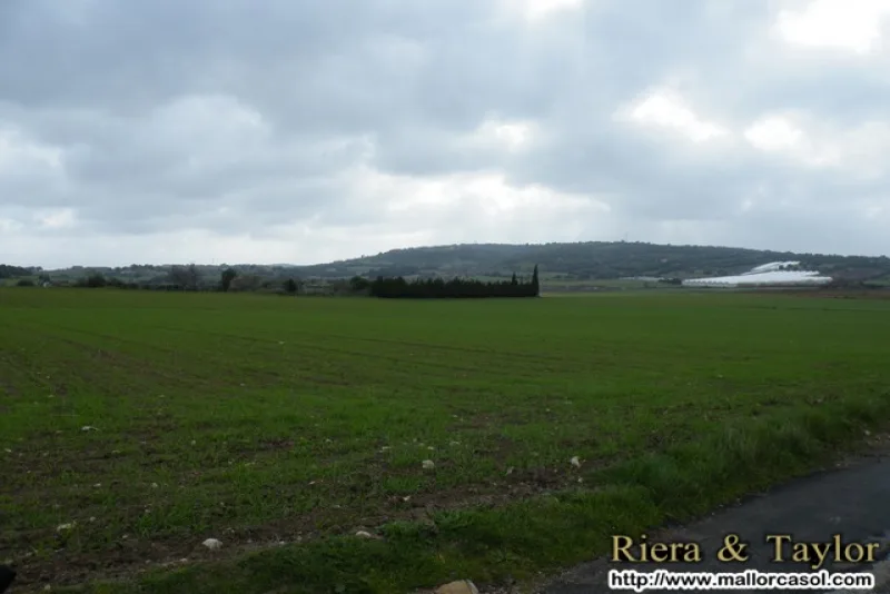 Se vende finca en Manacor