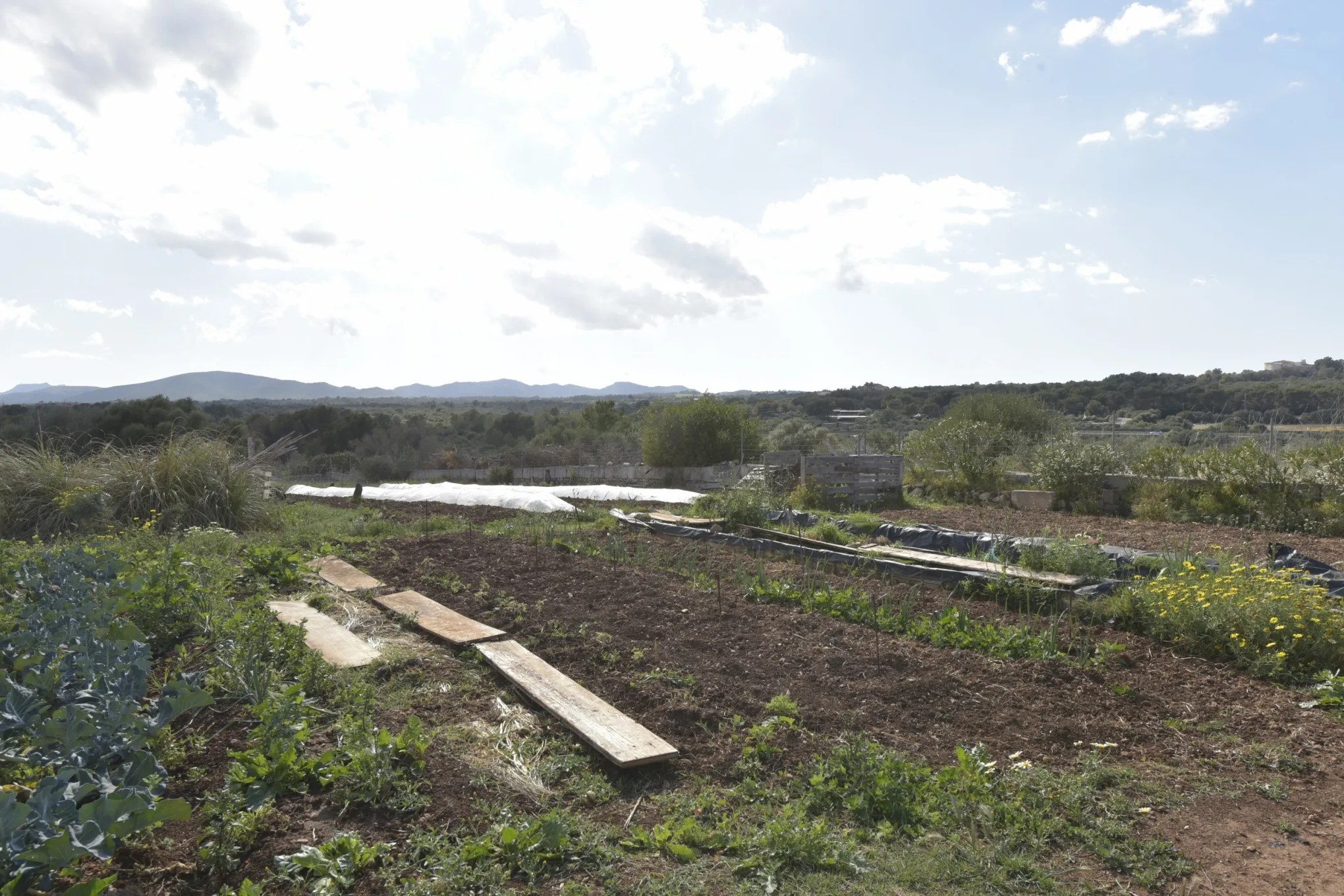 Slide show thumb