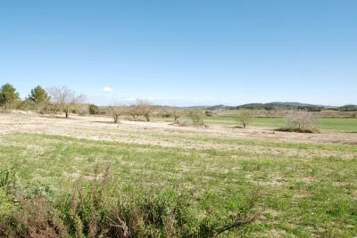 Venta Fincas Porreres