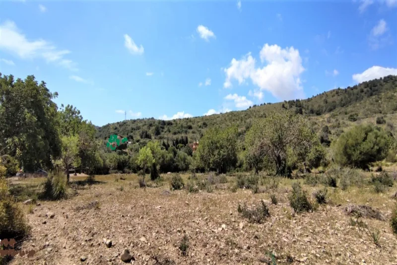 Terreno en Son Servera