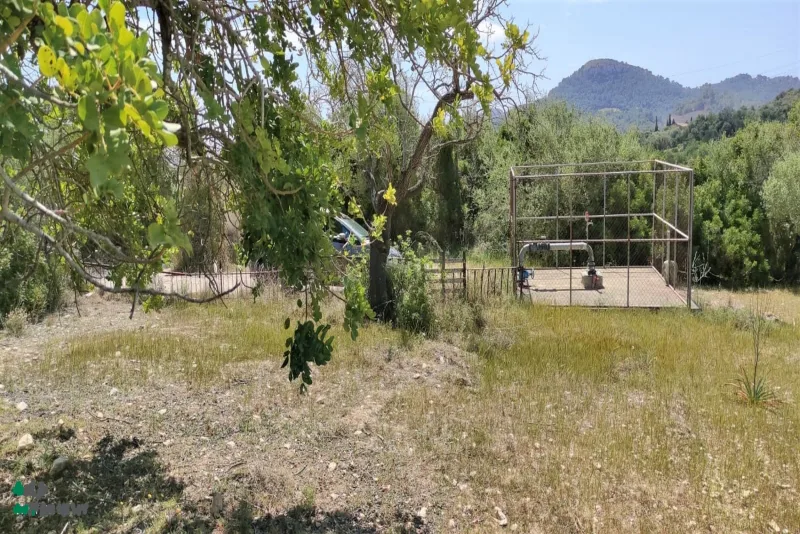 Terreno en Son Servera