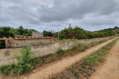 Venta Terrenos Son Carrio