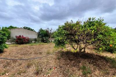 Venta Terrenos Son Carrio