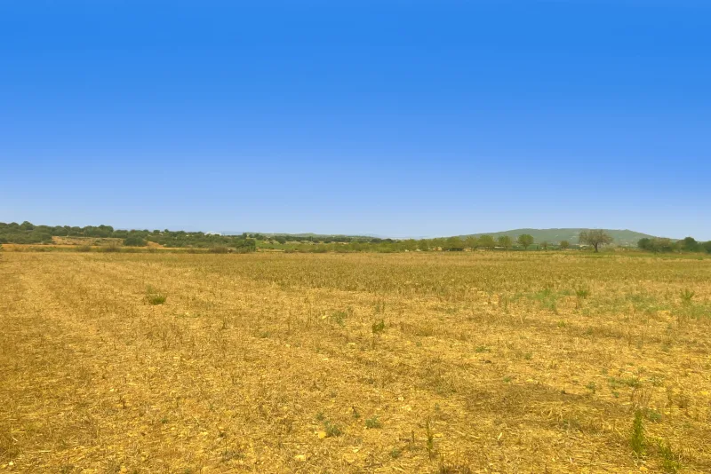 Se vende terreno en Manacor