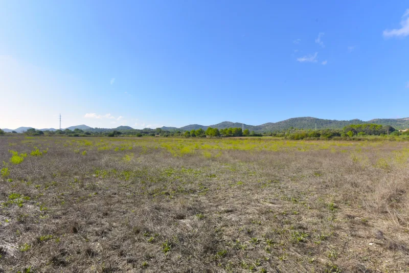 Terreno con vistas despejadas en Manacor