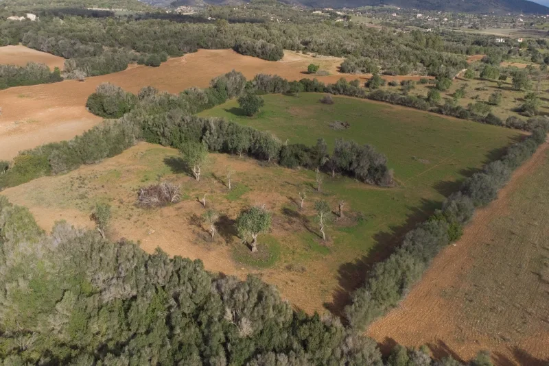 Se vende terreno edificable en Manacor