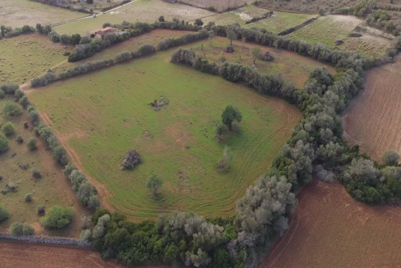 Se vende terreno edificable en Manacor