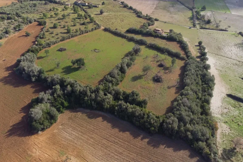 Se vende terreno edificable en Manacor