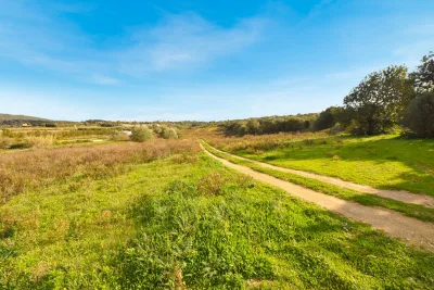 Venta Terrenos Manacor