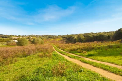 Venta Terrenos Manacor