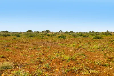 Compra Venta Terrenos en Porto Cristo