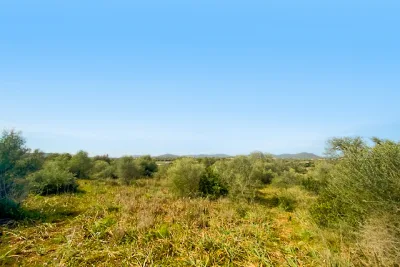 Venta Terrenos Sillot