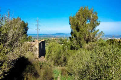 Venta Fincas Manacor