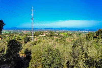 Venta Fincas Manacor