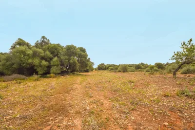 Venta Terrenos Calas de Mallorca