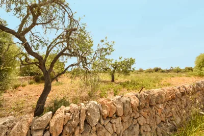 Venta Terrenos Calas de Mallorca