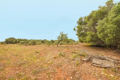 Venta Terrenos Calas de Mallorca
