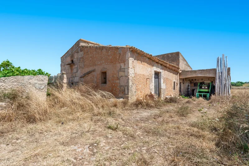 Finca con proyecto de reforma con amplias vistas, en Manacor