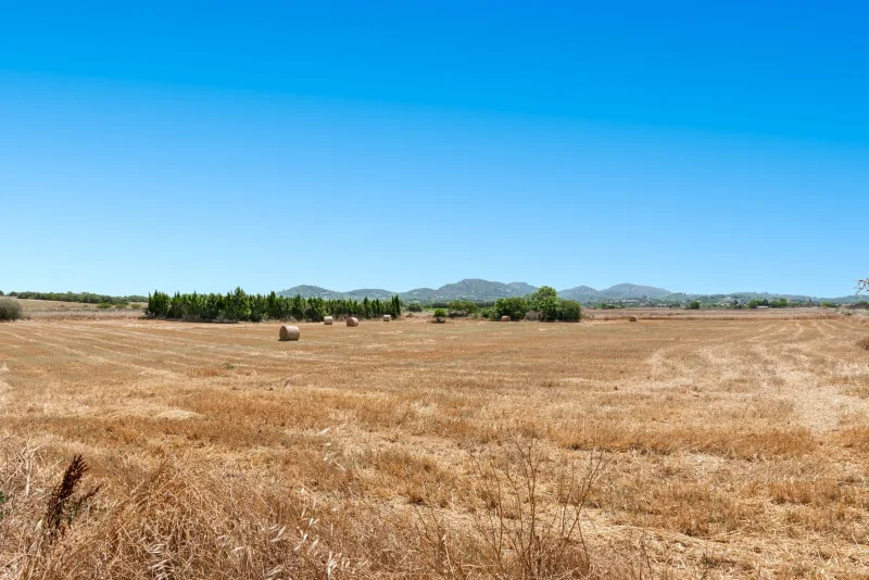 Finca con proyecto de reforma con amplias vistas, en Manacor