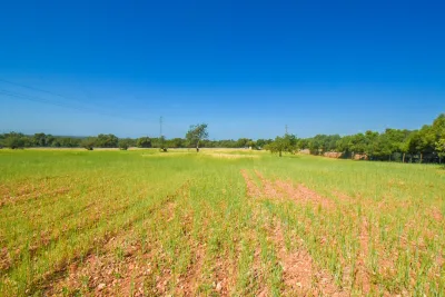 Venta Terrenos Santanyi