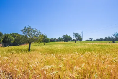Venta Terrenos Santanyi
