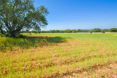 Venta Terrenos Santanyi