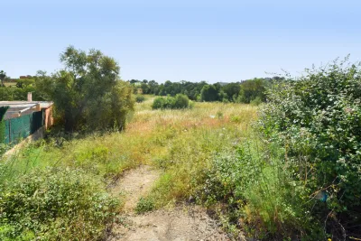 Venta Terrenos Manacor
