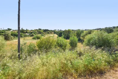 Venta Terrenos Manacor
