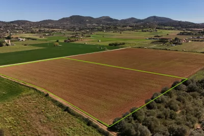 Venta Terrenos Manacor