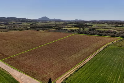 Venta Terrenos Manacor