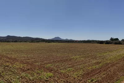Venta Terrenos Manacor