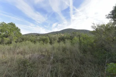 Venta Fincas Son Macia