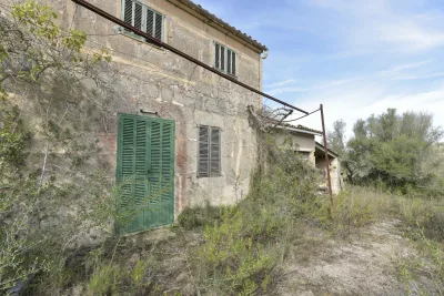 Venta Fincas Son Macia