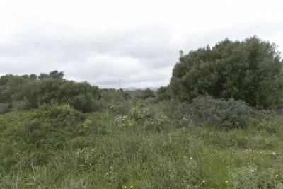 Venta Solar urbano Calas de Mallorca