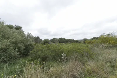 Venta Solar urbano Calas de Mallorca